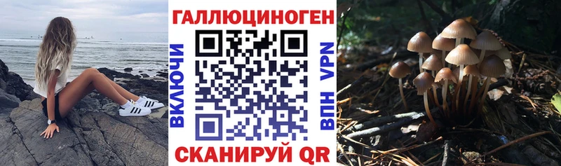 Псилоцибиновые грибы Psilocybine cubensis  Усолье-Сибирское 