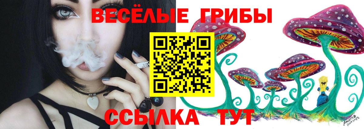 Усолье-Сибирское  Псилоцибиновые грибы мухоморы  Вход с VPN 
