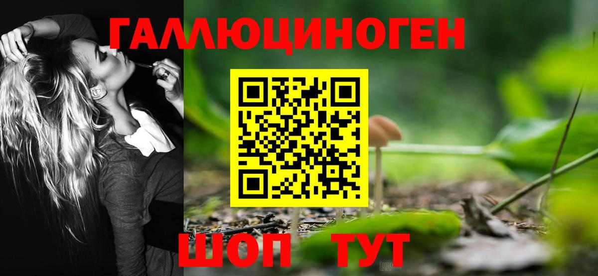 Псилоцибиновые грибы прущие грибы Усолье-Сибирское